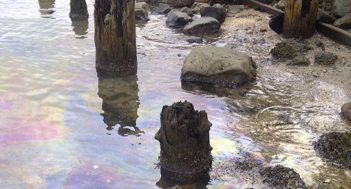 Photograph of oil sheen