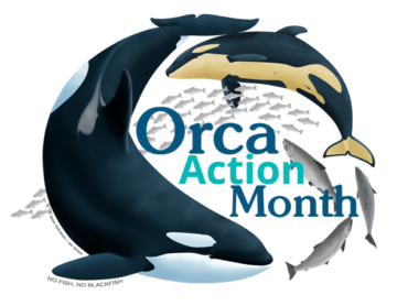 Orca Action Month logo with fish, dolphins, and orca swimming in a circle.